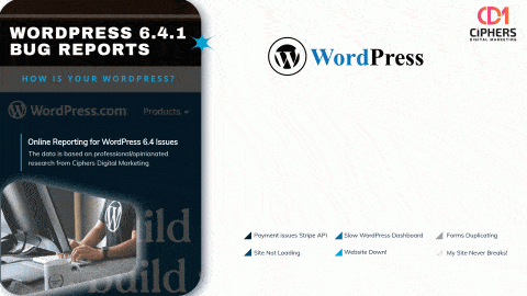 wordpress-6.4.1-bugs-report wordpress 6.4.1 bugs report