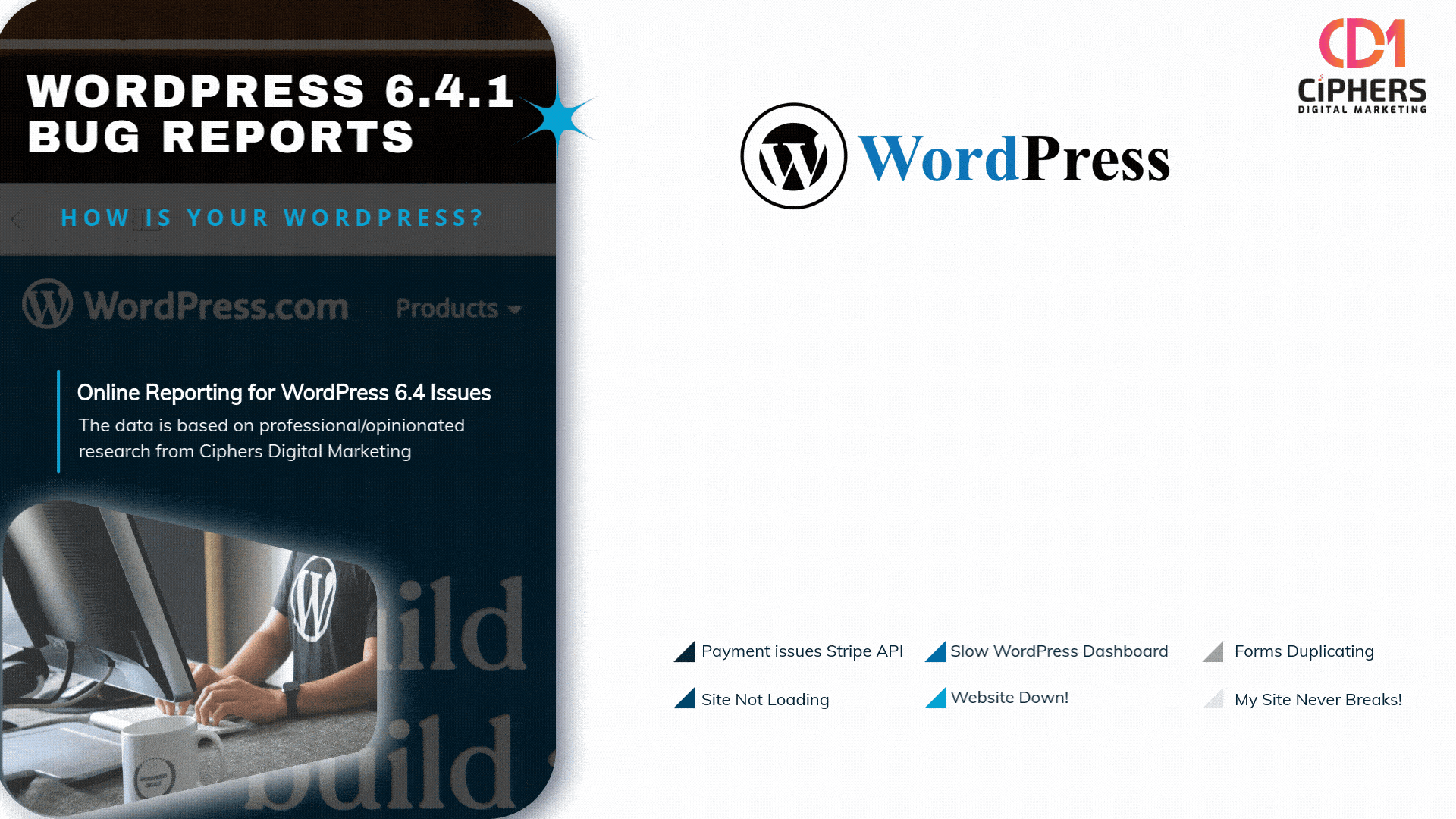 Bug Report for WordPress 6.4.1 with Bar Graph